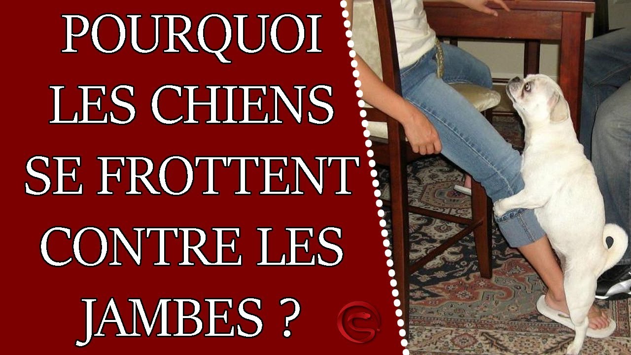 Les techniques pour rendre un homme dingue au lit - Le Grivois